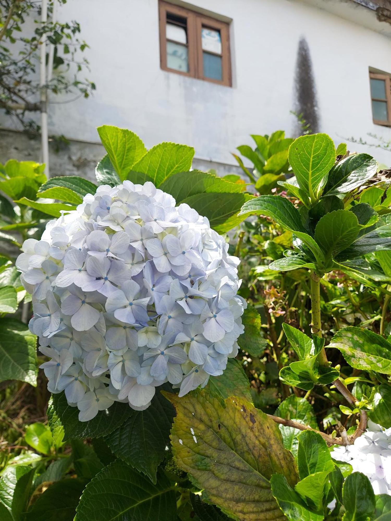 Amman Resorts Кодайканал Екстер'єр фото
